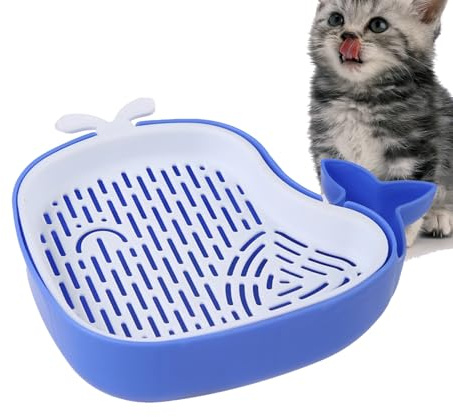 gifyym Cat Grass Planter - Cat Grass Seed Tray | Hollow Soillness Planting Box, Hydroponic Sprout Tray | Pet Seed Growing Kit For Pet Shop, Home, Cattery (Blue, Gray, Pink)