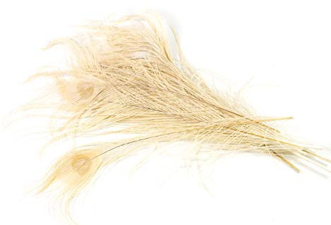 10 echte Pfauenfedern ca. 25-30cm (champagner 815) // Pfau Federn Natur Auge Deko Pfauenaugen Schmuck