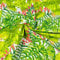 Textrend Baumwollstoff Stoffe Meterware - Stoff zum Nähen - 100% Baumwolle - Baumwollstoff mit Blättern - Stoffe Meterware (Grüne Palmenblätter mit Orchidee rosa auf weißem Hintergrund)