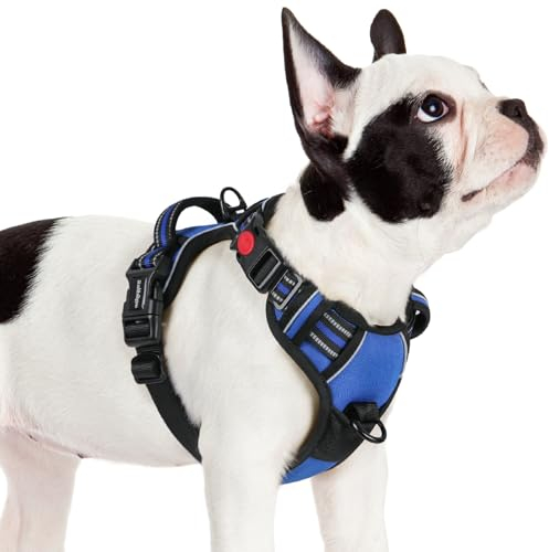 rabbitgoo Hundegeschirr Kleine Hunde, Verstellbare Geschirr Hund ohne Zug & Würgen, Anti Zug hundegeschirr mit Griff, weich Gepolsterte Reflektierende Brustgeschirr, Blau S
