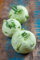 1000 Samen Kohlrabi White of Vienna Gemüse Garten Vegetable Seeds Pflanzen Beet