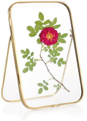 SUMTree Gold Bilderrahmen Glasrahmen für Gepresste Blumen 5x7 inch