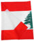 FUTUREORYY Banderas De Líbano Para Celebraciones Eventos Escolares y Ceremonias De Bienvenida Decoración Interior y Exterior y Diseño Ligero