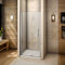 Porte de douche 80x195cm Porte pivotante porte de douche paroi de douche en niche verre anticalcaire