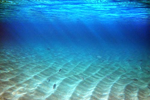 UNTERWASSER Fototapete VLIES-500x280 cm (4023A)-Strand Küste Dünen Fische Natur Korallen Meer Wandtapete-Inkl. Kleister-Vliestapete Bild Dekoration Wand-Dekor Moderne Motiv-Tapete Panorama Poster XXL