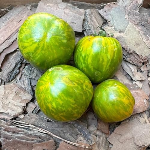 35 pcs tomatensamen bio, saatgut alte sorten, ostergeschenke tomaten samen seltene samen, kräuter fensterbank kräuter samen, exotische pflanzen balkongemüse, nachhaltige geschenke
