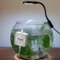 Aquarium Mini Air Pump Ultra Silent For Nano Fish Shrimp Oxygen Tank Energy Saving for fish shrimp Tanks up to 50 Litre,1W (White)