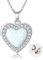 DAYLINLOVE Medaillon Halskette 925 Sterling Silber Herz Opal Anhänger hält Bilder Herz Medaillon Foto Halskette Erinnerungsgeschenke für Frauen Mutter Ehefrau