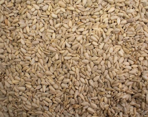 Sunflower Seeds 500g - Premium Sunflower Seed Kernels - Bulk Bag - Ready to Eat - Blue Forest Foods