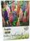 200 Lupin Flower Seeds Russell Mix Tall Cottage Garden Favourite Perennial 200 Seeds