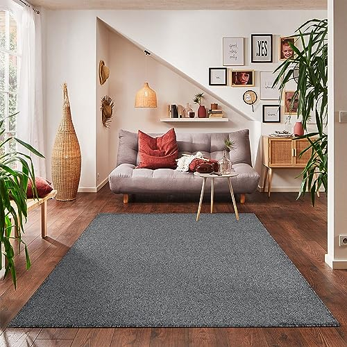 Carpettex Wohnzimmer Teppich - Kurzflor Modern Einfarbig 240 x 340 cm Grau - Waschbar Extra Weich Flauschig für Küche, Schlafzimmer, Kinderzimmer, Esszimmer, Flur