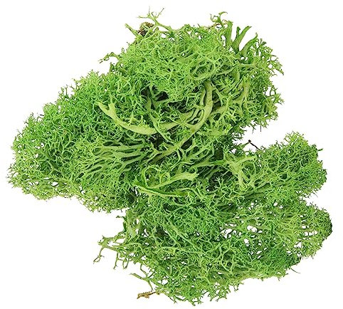 GAROZATION Kit Di Piante Finte Di Muschio Artificiale Per Decorazioni Artigianali Muschio Verde Per Piante in Vaso