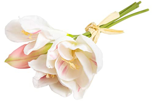 Botanic-Haus künstliches Amaryllis Bündel (weihnachtliche Blume) mit 3 Blüten und 1 Knospe Farbe: Creme-rosa