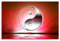 Wandbild 120x80cm Naturfotografie – Yin und Yang Zeichen mit roten Hintergrund auf Leinwand für Wohnzimmer, Büro, Schlafzimmer, Ferienwohnung u.v.m. Gestochen scharf in Top Qualität