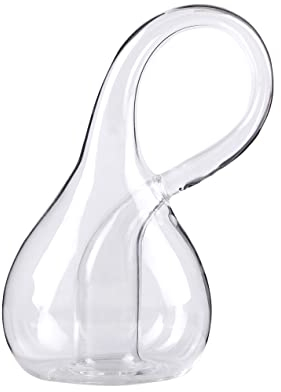 Kleinsche Fläche Klein bottle espacial cuadridimensional Jarrón para los amantes de la ciencia Klein bottle para la mente curiosa cautivando la belleza matemática