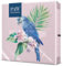 PAW - Servietten 3-lagig (33 x 33 cm) I 20 Stück I Perfekt für Geburtstage, Partys, Hochzeiten, Kommunion und Feiern I Tischdeko Bunte Papierservietten - Exotischer Papagei Fauna I Exotic Birds
