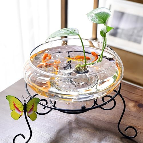 Lotus Bowl Planter, 6 Inch Round Lotus Flower Bowl, Clear Water Lily Bowl, Decorative Glass Bowl for Flower Succulent Hydroponic Plant Fish Home Decor