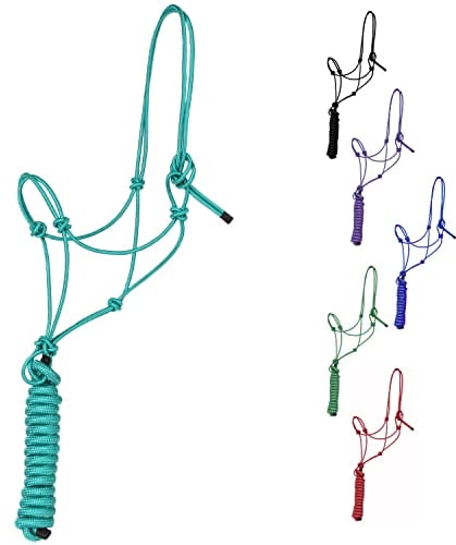 Majestic Ally 1/4 Zoll Seil 4 Knoten steif Polyester Training Halfter mit 30,4 cm passendem Führstrick für Pferde - voll (türkis, voll)