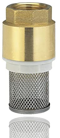 TopHomer-TopHomer Messing Fußventil Wasserpumpe Unterventil Rückschlagventil mit Filter für Pumpen-DN15-1/2 Anschluss