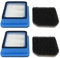 Remplacement de Filtre D'aspirateur 2Set pour Accessoires Electrolux Q6 Q7 Q8 WQ61 WQ71 WQ81