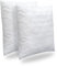 HEIMTEX Steppkissens Kissen 50x50cm 2er-Pack – Mikrofaser Kissen 50x50cm mit 350g Füllung aus frischer Faser Premium Hotelqualität, hypoallergen, Bettkissen, Sofa Dekokissen,Schlafkissen, Baumwolle