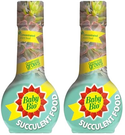 Baby Bio Succulent Food Concentrated Plant Feed, Liquid Nutrition for Succulents & Cacti, Indoor & Greenhouse Plant Care, 175 ml (2 Pack)