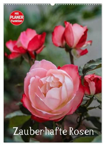 Zauberhafte Rosen (Wandkalender 2026 DIN A2 hoch), CALVENDO Monatskalender: Mit Rosen durchs Jahr. (CALVENDO Natur)