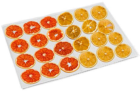 Kwasyo 10 Pièces Feuilles de Déshydrateur Carrées en Silicone Tapis de Déshydrateur Antiadhésifs pour Fruits Alimentaires Réutilisables Tapis de Cuisson en Filet à Vapeur pour Séchoir à Fruits