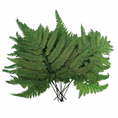 mech-mech Stabilisiertes Farn - Straußenfarn - Grün