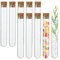 10 Stück Reagenzglas, Reagenzgläser mit Korken, Kunststoff Transparent Reagenzglas, für Blumen Gastgeschenk DIY Craft Candy, Labortisch, Heimdekoration (12mm×75mm)