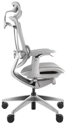 REKT RGo Max First Chaise de Bureau Ergonomique Haute qualité Confort - Accoudoirs 4D, appuie tête, réglage Cervical, Lombaire, Profondeur d'assise, Supporte jusqu'à 150 kg (Gris)