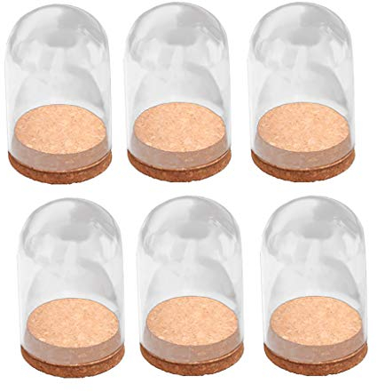 F Fityle Lot de 6 Cloches Verre Bonbonnière Décorative en Verre Borosilicate, 10 cm