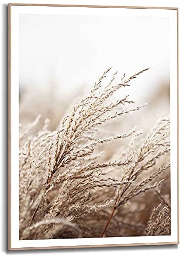 REINDERS Gerahmtes Bild, Gras, Wohnzimmer, Bilder, Wanddeko, Room Decor, MDF, Beige, 70x50cm