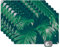Placemats Platzdeckchen Platzset Tischset 6-teilig Tischdeko Untersetzer 45x30 cm Monstera - Blätter - Pflanzen - Dschungel - Natur