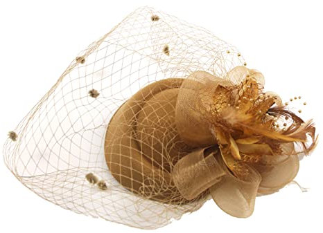 COSFAN Bandeau de Plumes pour Femmes des années 50, Barrette en Maille pour Visage avec Plumes, Accessoires de Cheveux pour Cocktail, thé, Mascarade