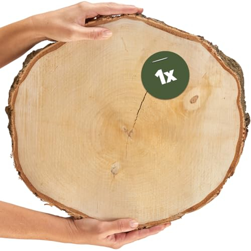 Große Holzscheibe in 40 cm (38-44cm) Durchmesser für DIY Basteln und Dekorieren - 1 Stück runde Birkenholz Baumscheibe - Naturbelassene Holz Birkenscheibe als Holzdeko Holzplatten
