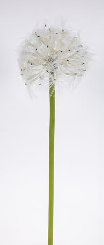 Pusteblume 72cm OG Kunstblumen künstliche Blumen künstliches Pusteblumengras