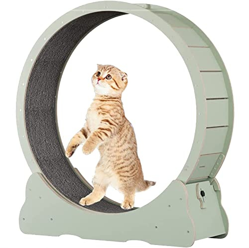 YKMYXZ, Rundes großes Katzenlaufrad for kleine/mittelgroße Haustiere, Indoor-Übungen, XL-Grün