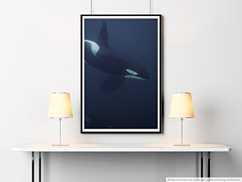 Sinus Art Kunst Leinwandbild - Tierfotografie – Orca im Meer- Fotodruck in gestochen scharfer Qualität