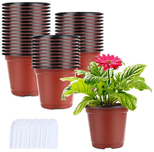 Augshy 250 Pièces Pots de Fleurs Pot semis en Plastique Interieur Pot Plastique Plante pour Semis Boutures, Fleurs, Succulentes