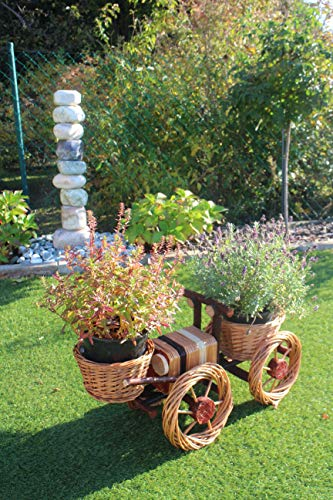 Bagger aus Weidengeflecht zum Bepflanzen für 2 Pflanzen Handgefertigt Blumentopf Weidenkorb Rattan Pflanzkübel Pflanzgefäß Pflanzschale Pflanzkasten Übertopf Blumenkasten