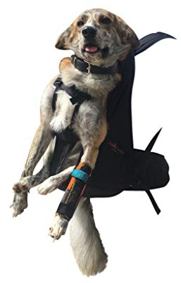 DogCarrier Patentierter PREMIUM XXL Leg free Hunderucksack - Hundetrage Hundetasche Rucksack für Hunde von 15-25kg Gewicht und einer Rückenlänge bis 67cm