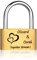 EinzigGeschenk Cadenas d'amour avec gravure - Cadenas unique personnalisé avec clé - Idée cadeau pour la Saint-Valentin - Cadeau pour elle et lui (style 1 - Version courte)