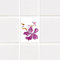 INDIGOS UG Fliesenaufkleber Bad und Küche - Fliesenspiegel - Küchenfliesen für einzelne Fliesen 20x25 cm - MF326 - schöne Orchidee