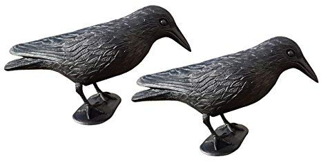 2 x WELLGRO Vogelschreck Krähe sitzend – Vogelabwehr für Balkon, Terrasse & Garten – Lebensecht & wetterfest – Taubenabwehr Deko aus Kunststoff – Raben Attrappe Schwarz
