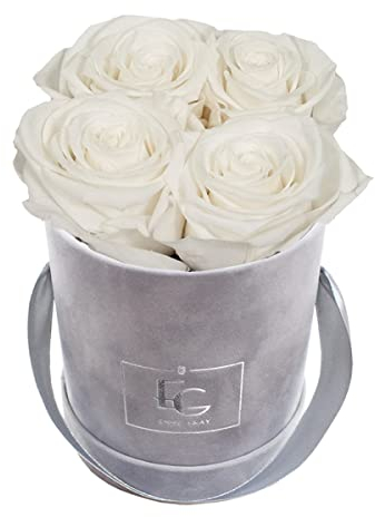 EMMIE GRAY CLASSIC INFINITY ROSENBOX | VELVET GRAY | Runde Flowerbox - Infinity Rosen in grauer Samtbox - 1-3 Jahre Haltbarkeit - Echte Rosen, die jahrelang blühen - Haltbare Rosen (XS, Pure White)