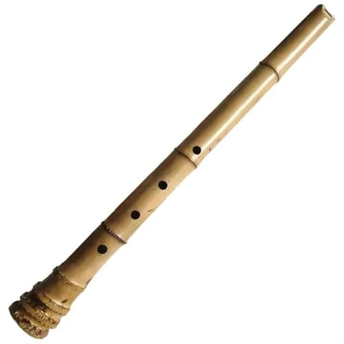 Bambus 54,5 Cm Chinesische Traditionelle 5 Löcher Bambusflöte Chi Ba Klarinette Musikinstrument Flöten Für Anfänger(D1)