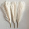 Tischdekoration, 3 Stück, 45 cm, künstliches Schilfrohr, Pampasgras für Hochzeitsdekoration, künstliche Schilfrohrblume, Heimdekoration, Beige
