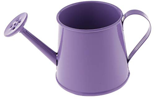 Pot de fleurs coloré en étain de style pastoral - Mini arrosoir pour bonsaï - Violet
