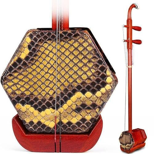 EIERFSKIOT Erhu, chinesische 2-saitige Violine, traditionelles ethnisches Musikinstrument mit Stimmgerät und Box